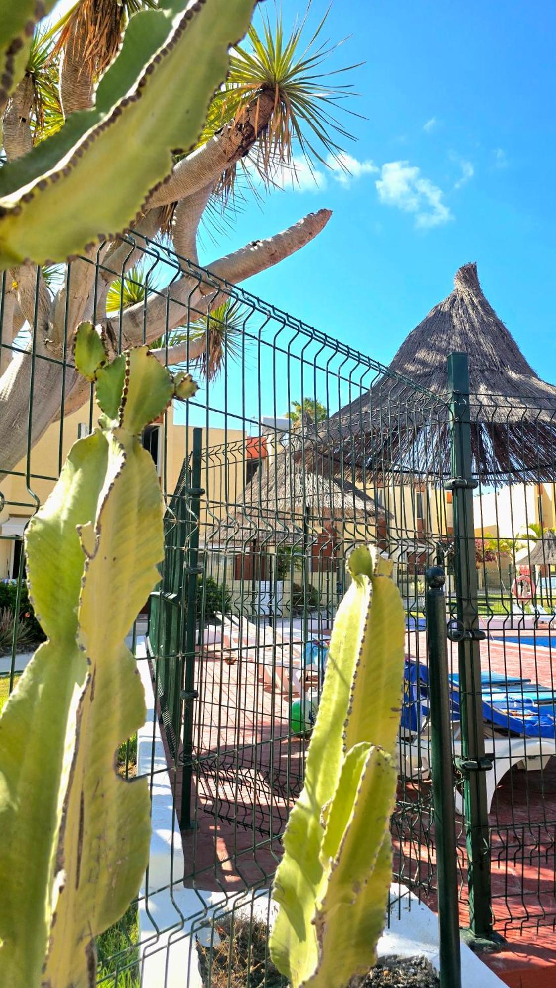 Dream Holiday Las Americas Playa de las Américas Exterior foto